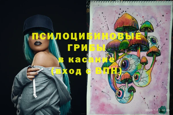 гидропоника Заволжск